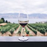 Choisissez un vin de Bordeaux bio pour les fêtes de fin d’année