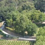 Découvrez l’oenotourisme à Bordeaux : Entre vignobles et traditions